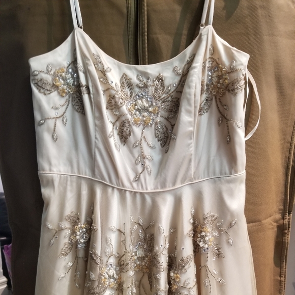 Fancy dress - Picture 2 of 4